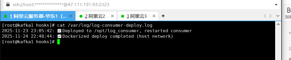 服务器CI/CD部署日志验证
